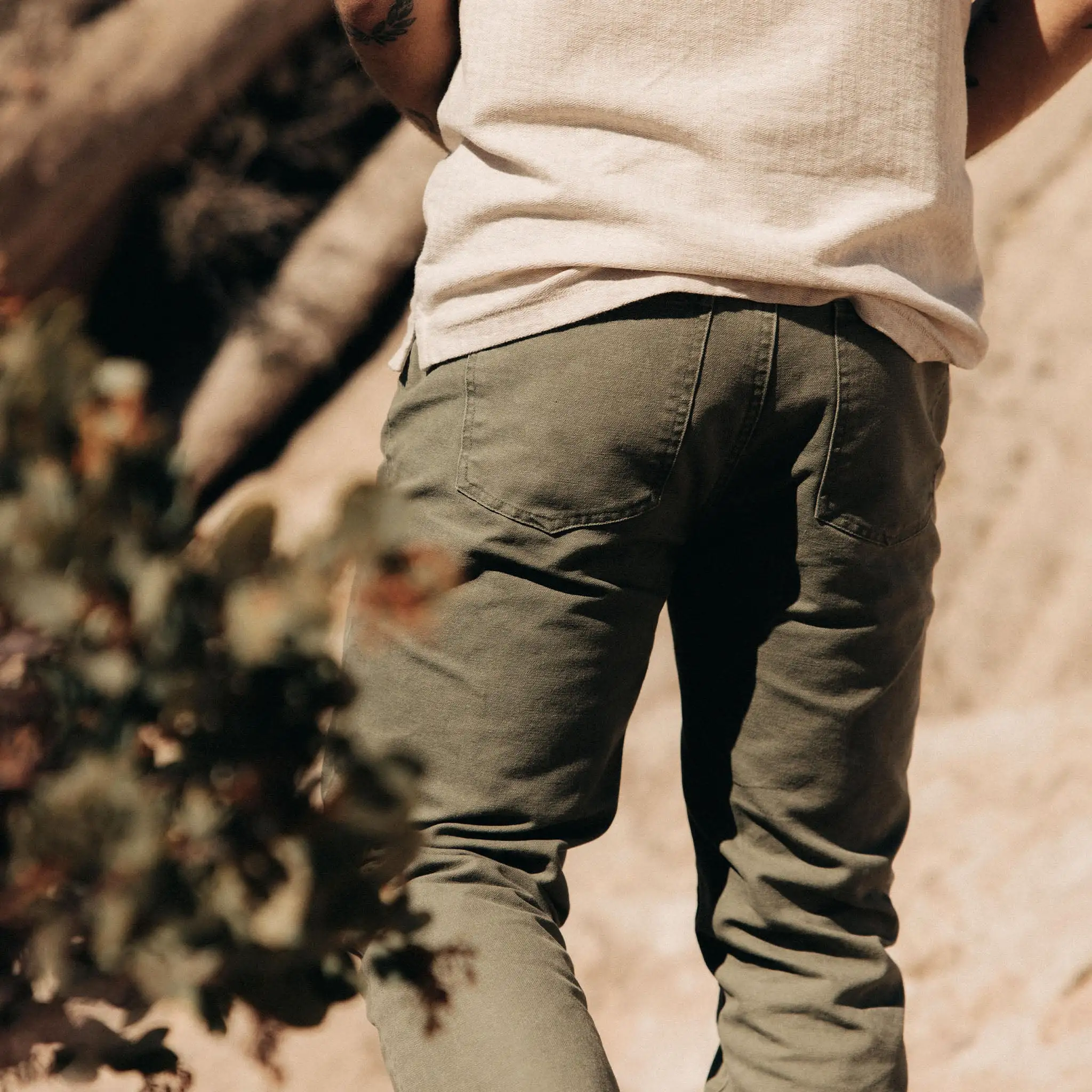 The Slim All Day Pant in Arid Eucalyptus Canvas